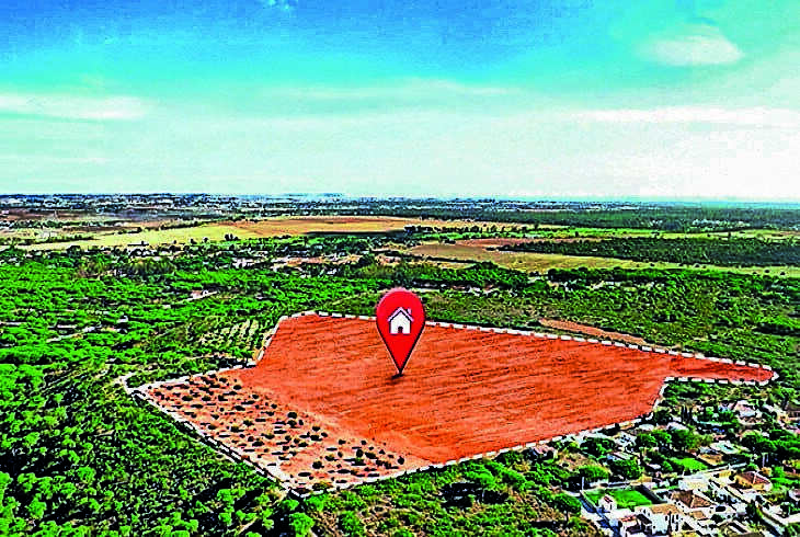 HMDA auctions 100 plots in Mokila, Hyderabad, raising about ₹231.65 crore