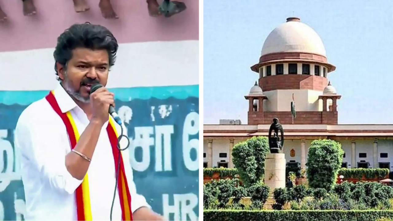 'HC went beyond ... ': Vijay-led TN govt moves SC challenging cow slaughter ban even on Bakrid