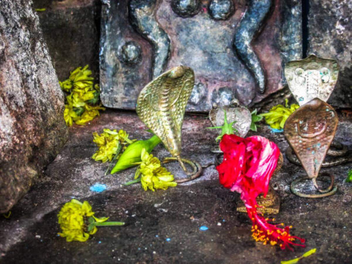 Snakes worship