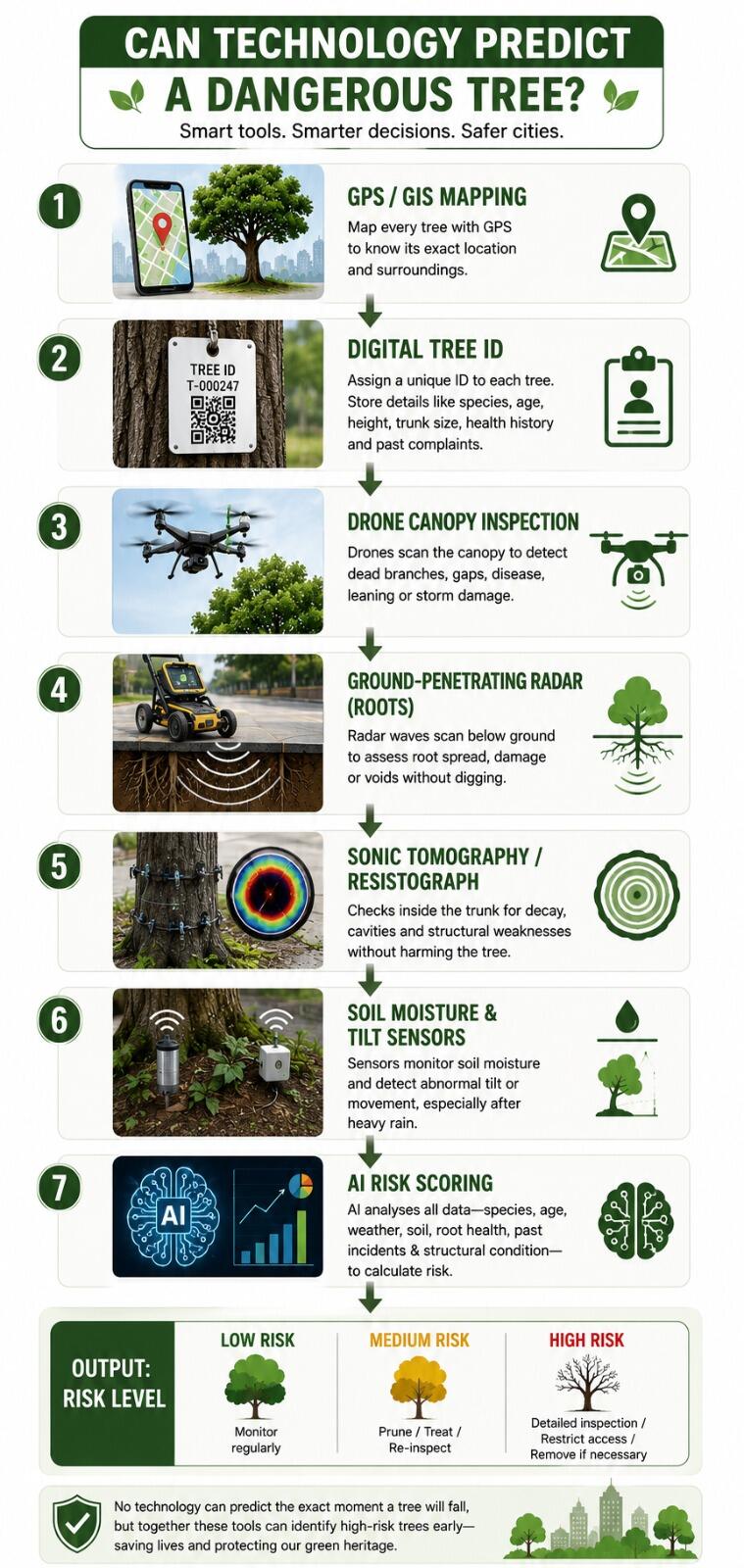 Can technology predict a dangerous tree?