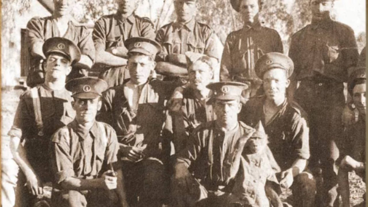 Jackie is believed to be the only baboon known to have officially achieved the rank of corporal