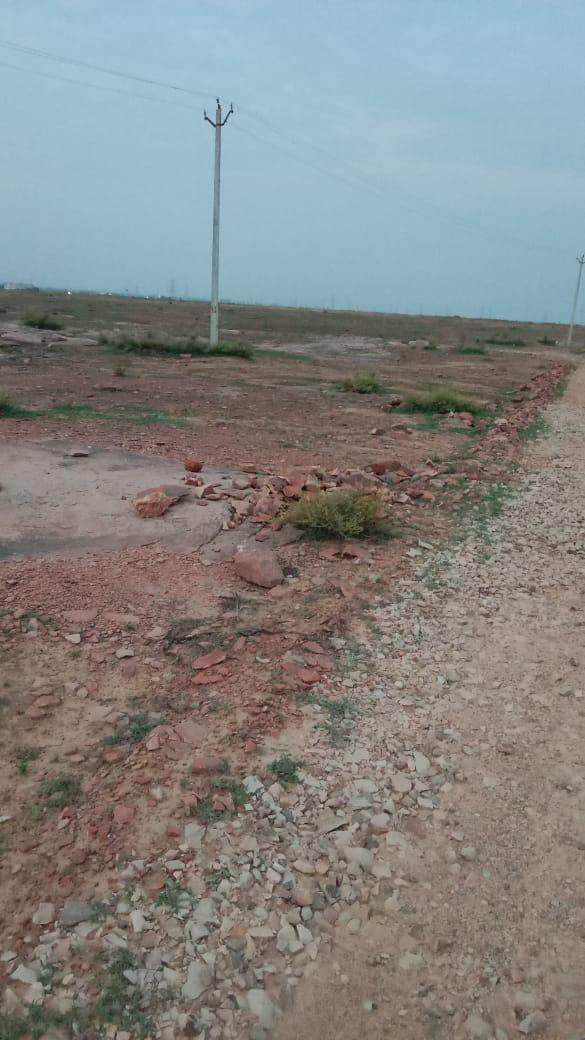 Poles pitched inside Tiger reserve without permission.jpeg