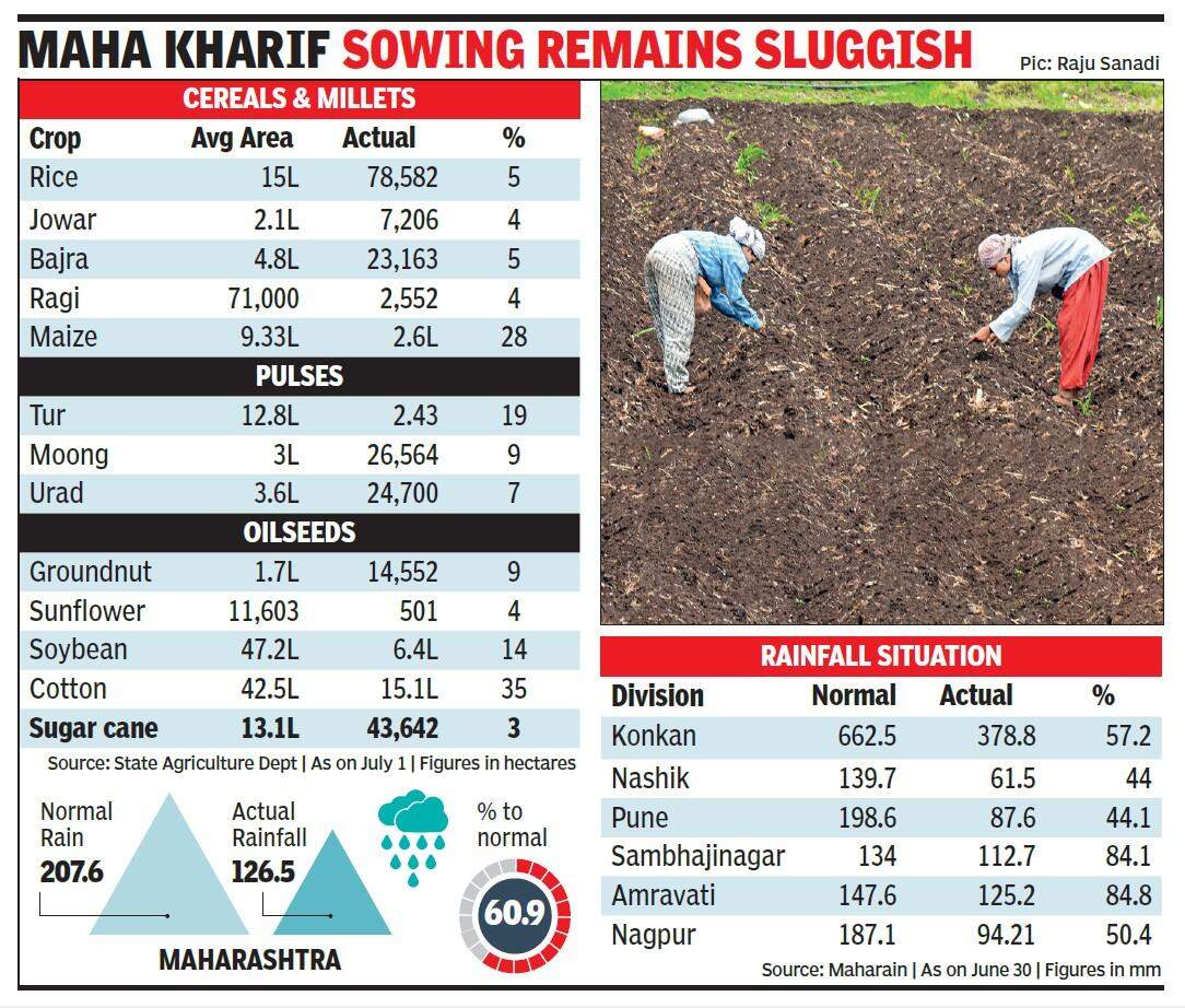 Kharif Kharip.jpg