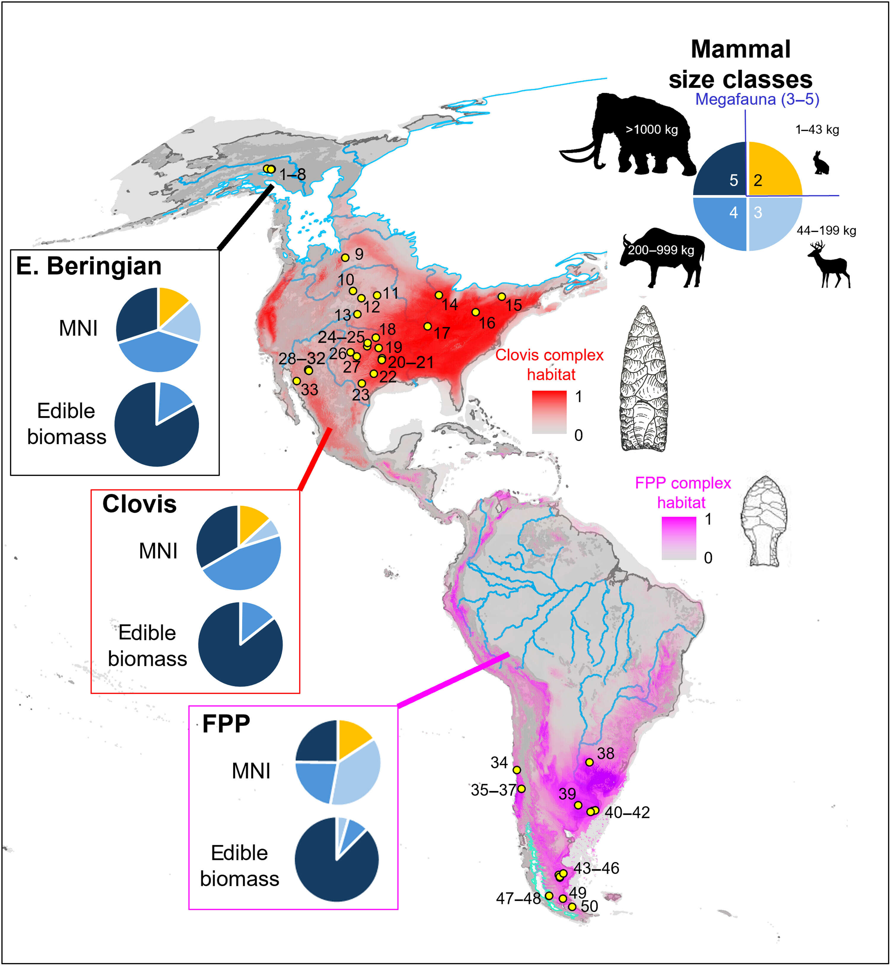 Hemisphere-wide evidence of Early Paleoindian megaherbivore specialisation sciadv.aef9628-f1
