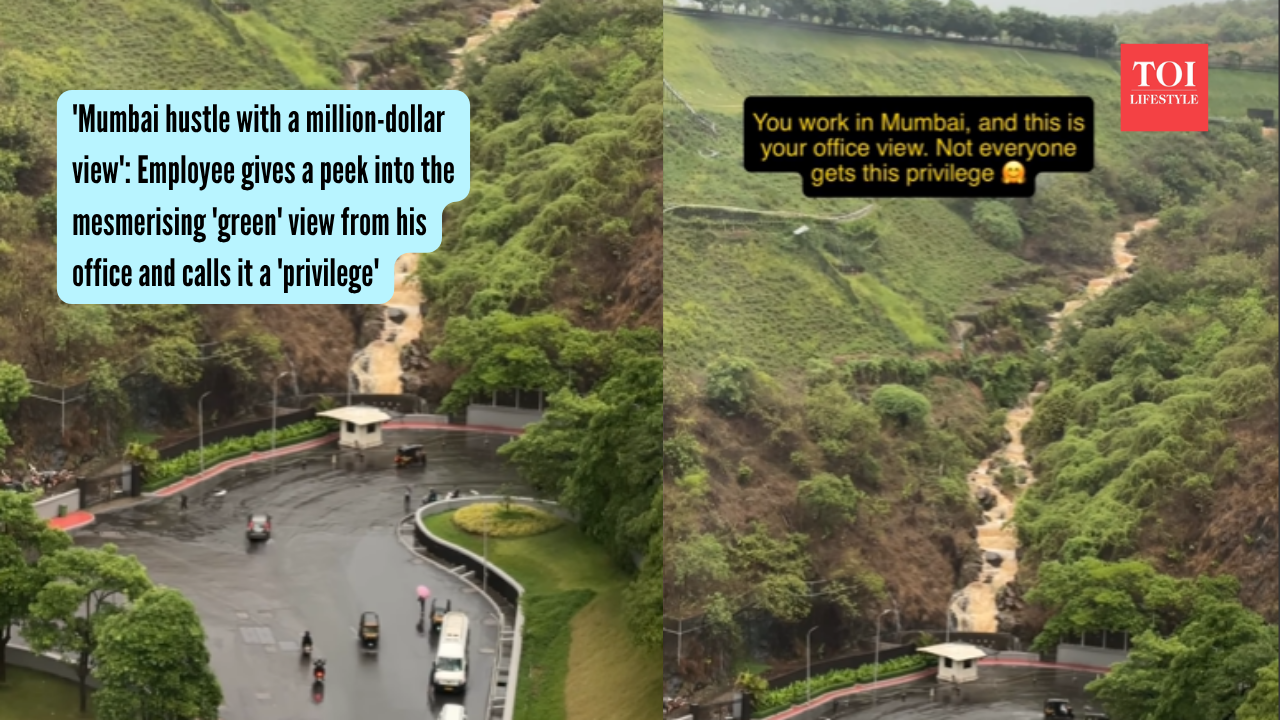 'Mumbai hustle with a million-dollar view' Employee gives a peek into the mesmerising 'green' view from his office and calls it a 'privilege'