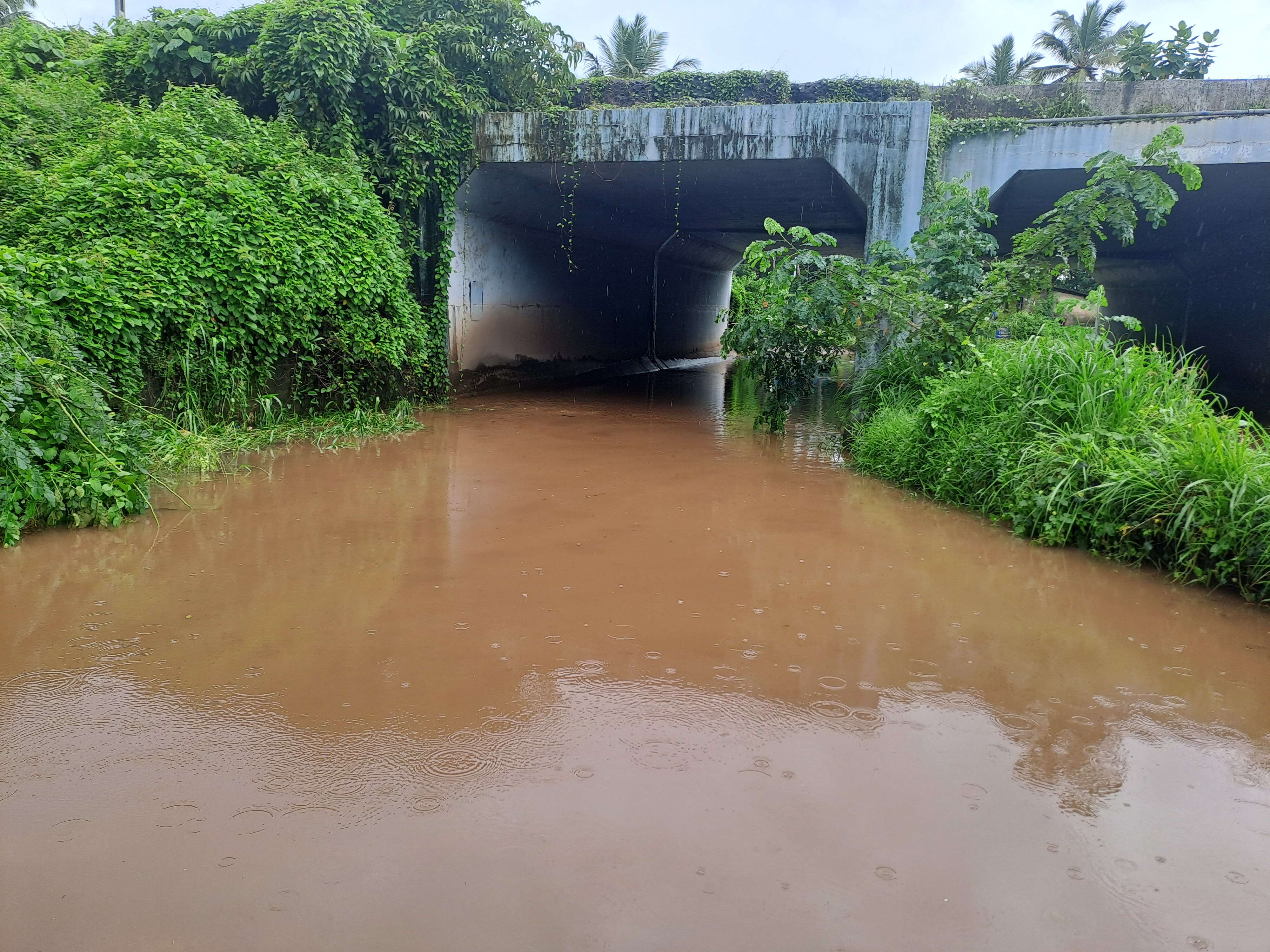 3269440d-9998-4612-96f8-a6e1d8d259f8_Seraulim_railway_underpass.jpg