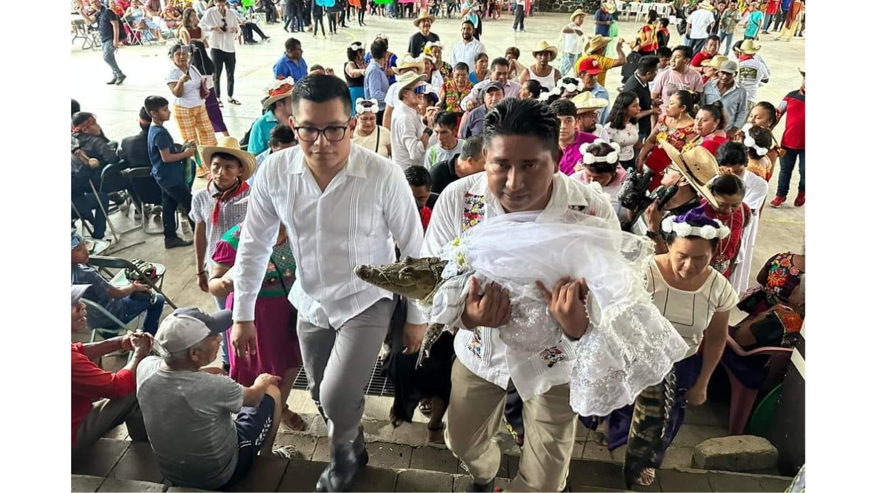 Crocodile wedding: A Mexican mayor marries a caiman every year, but the real story is about people and nature