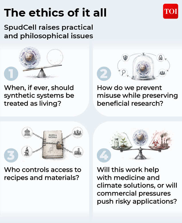 The ethics of synthetic life