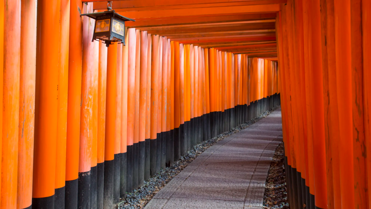 Why this street in Japan looks like an endless tunnel of red torii gates