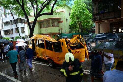 MLC demands scientific system to track and prevent tree falls across Mumbai