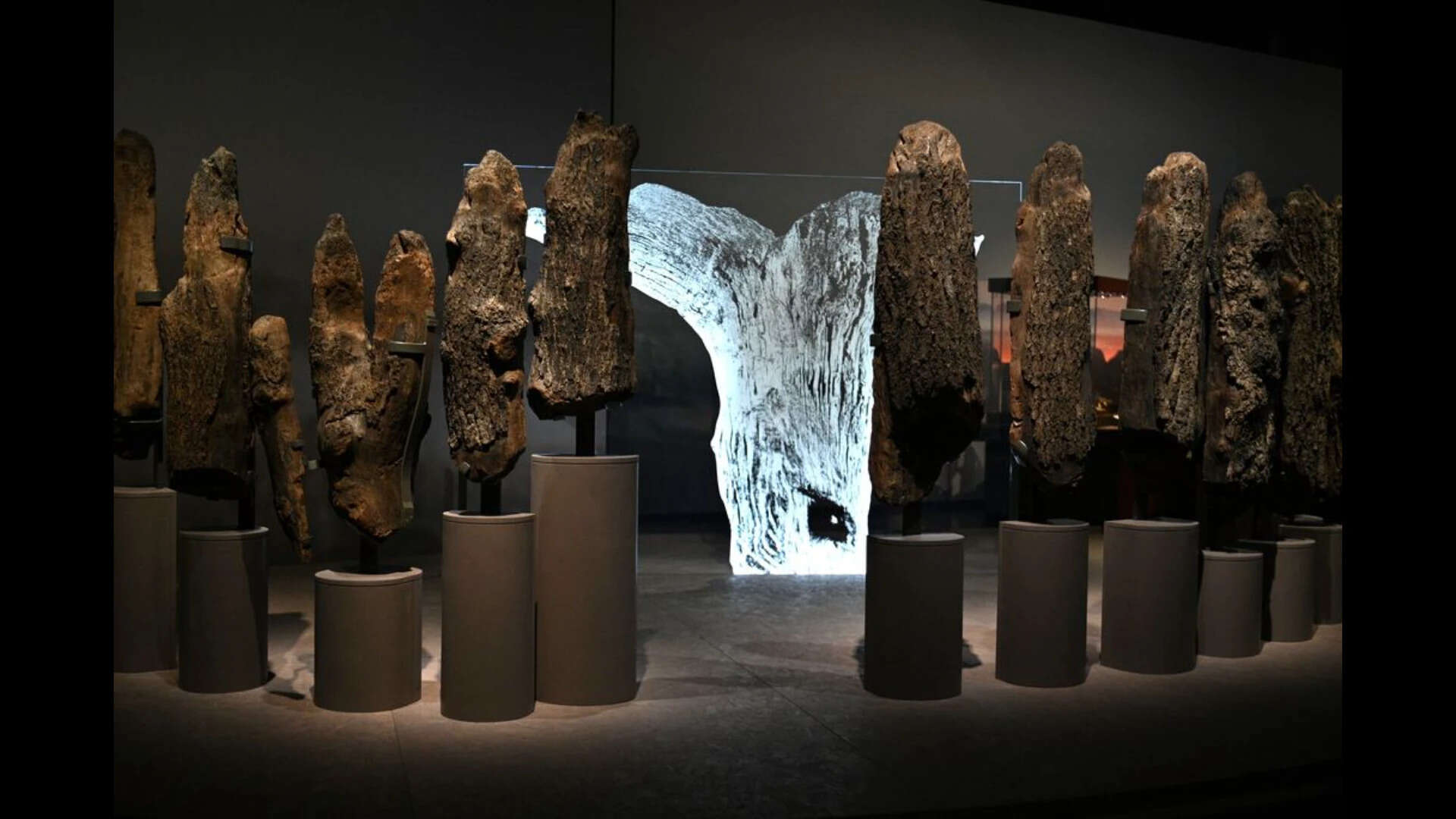 Seahenge in the museum