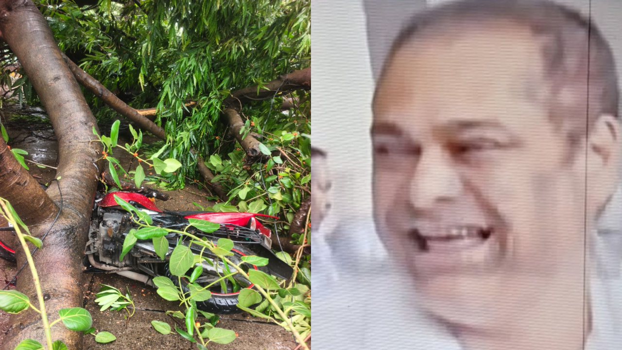 Mumbai BJP Chief Criticized for Smiling While Discussing Monsoon Deaths