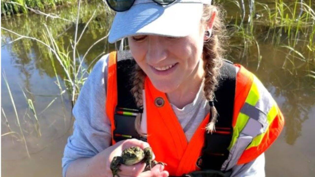 New toad species found in Canada