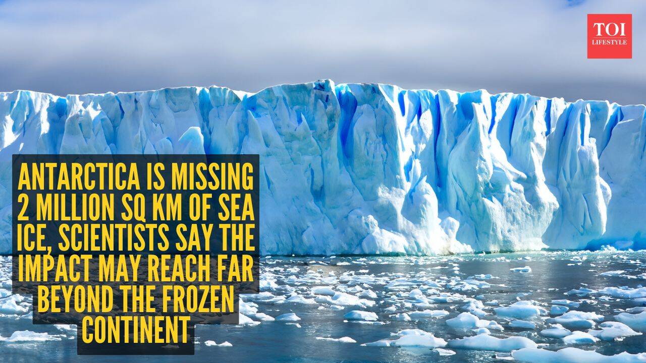 Why Antarctica’s missing 2 million sq km of sea ice is worrying scientists