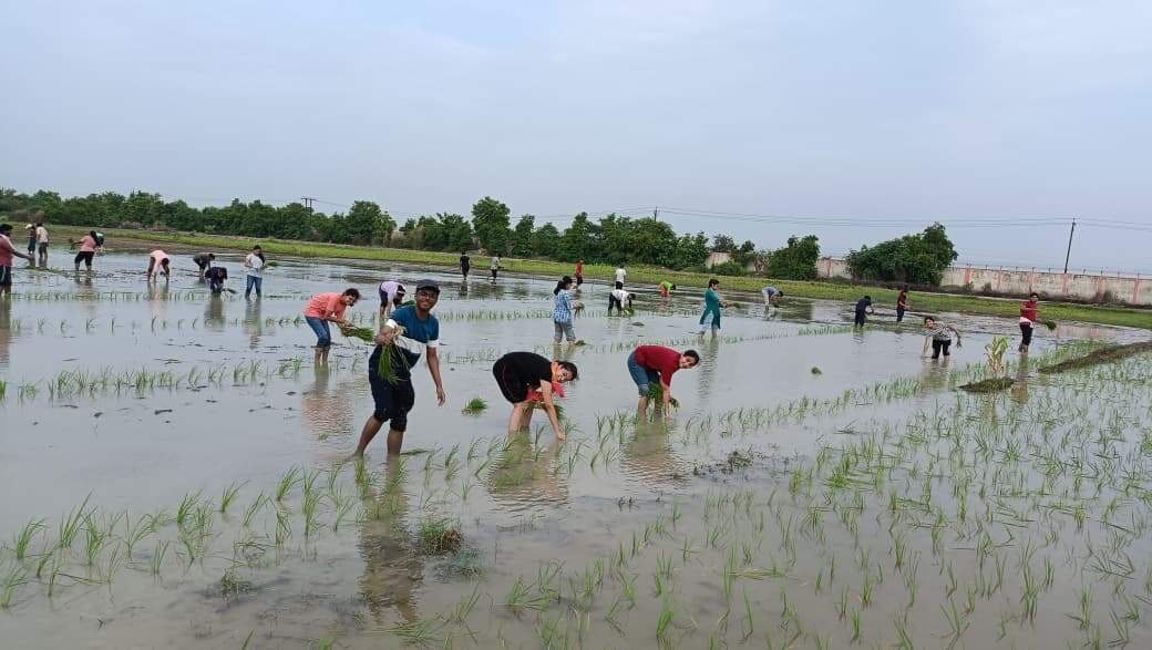 537e4049-a2c2-4259-9779-e6affc4628da_Undergradaute_agriculture_students_of_CUSB_engaged_in_agricultural_activities_on_the_campus_at_Gaya.JPG