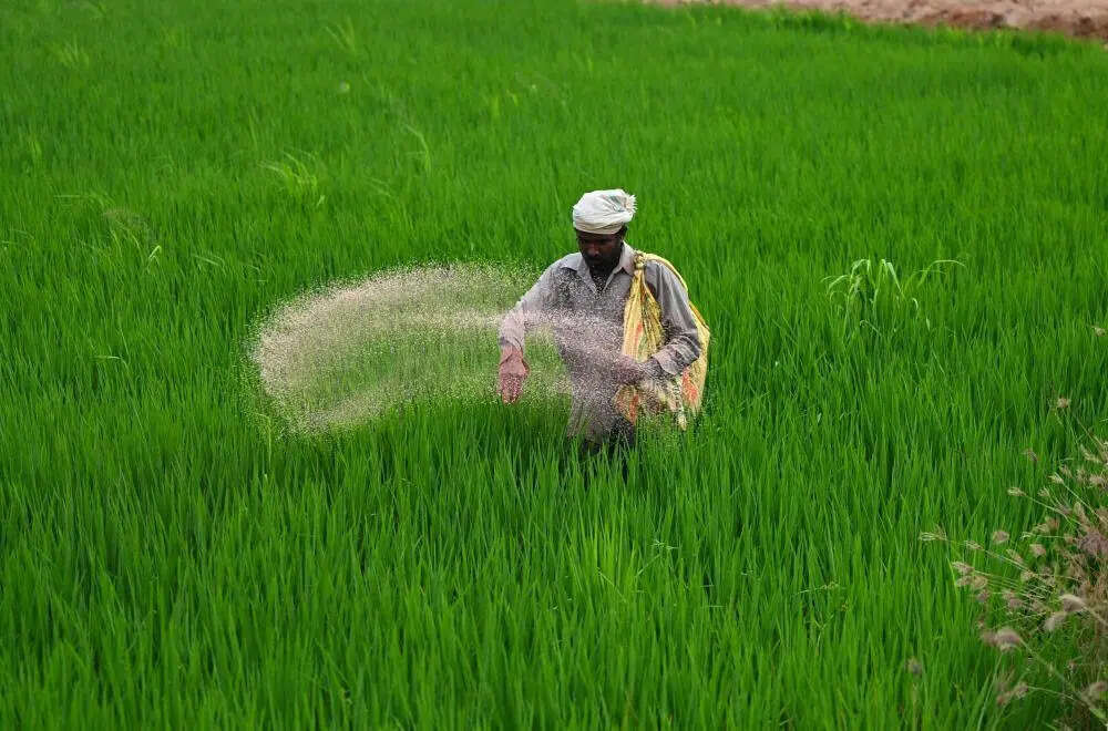 15 India-bound ships carrying urea, DAP and sulphur cross Hormuz: Govt
