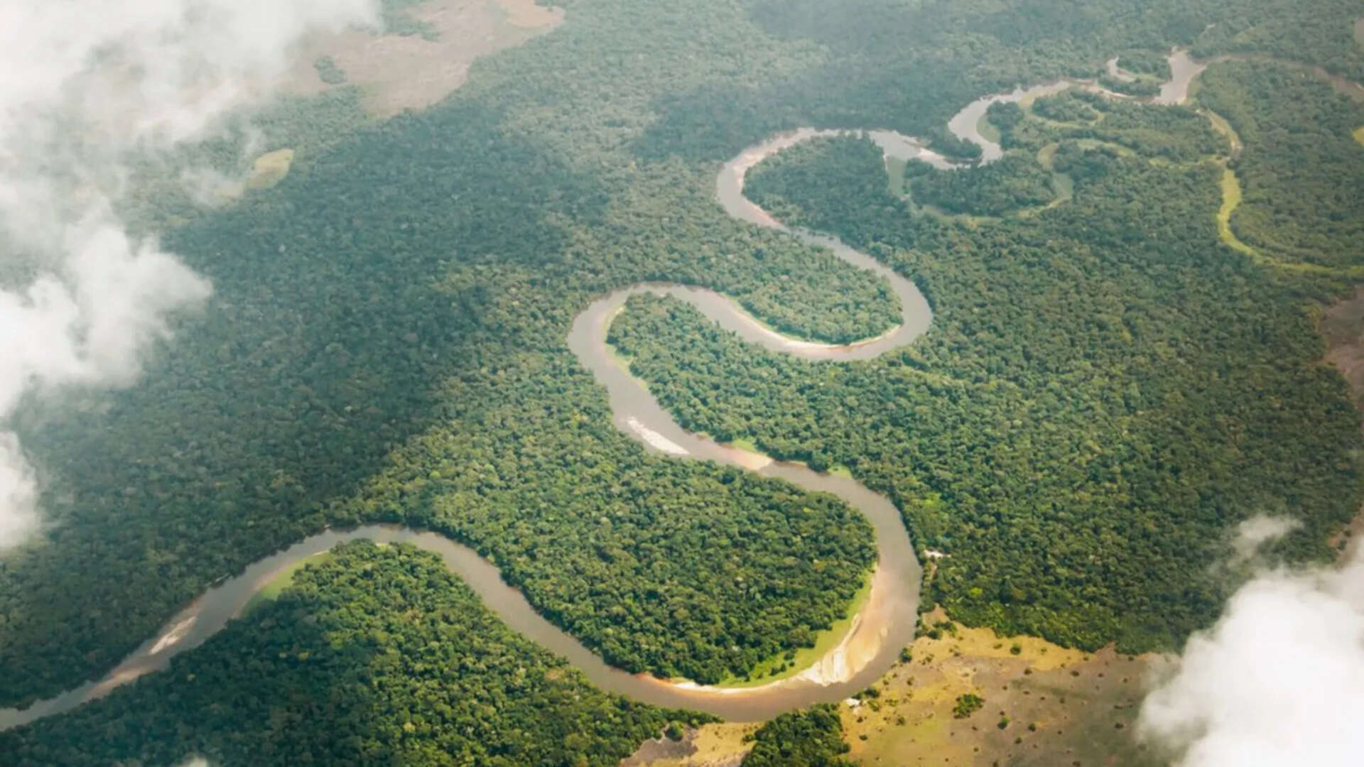 Congo River releases 40,000 cubic metres of freshwater into the Atlantic every second. Scientists trace where it goes