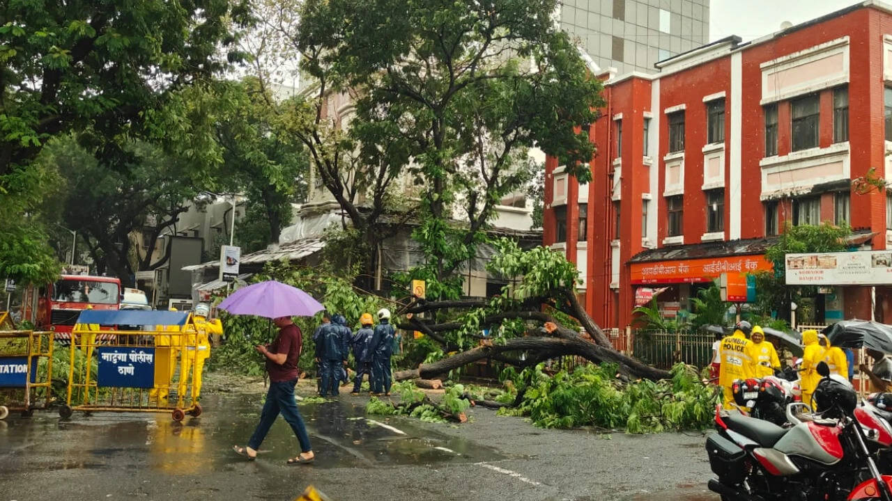 Monsoon mayhem: South Bombay sees wettest July; house collapse, tree falls claim 8 lives