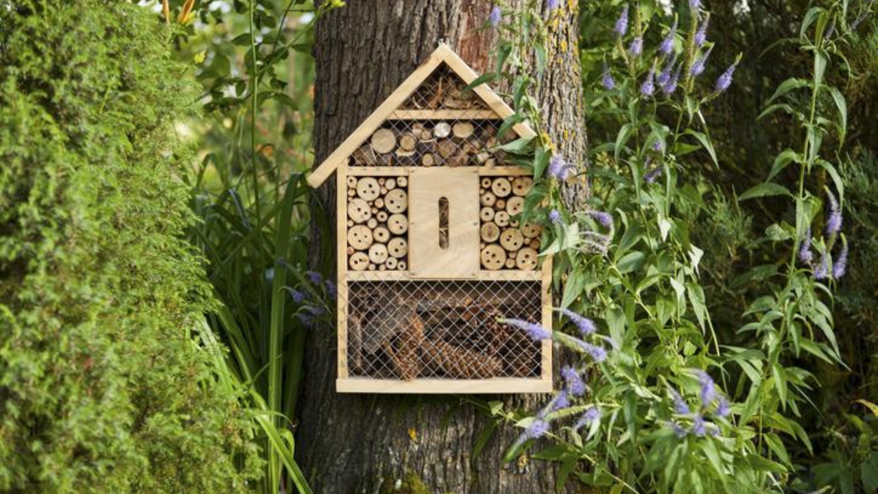 A scientist built 200 hotels for bees. Three years later, the guests he found changed what we know about pollinators and biodiversity