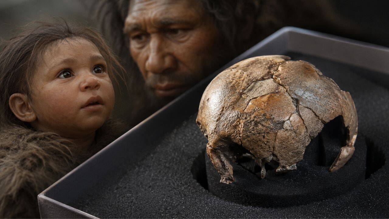 Rare Neanderthal baby fossil reveals our ancient relatives may have begun life much like modern humans