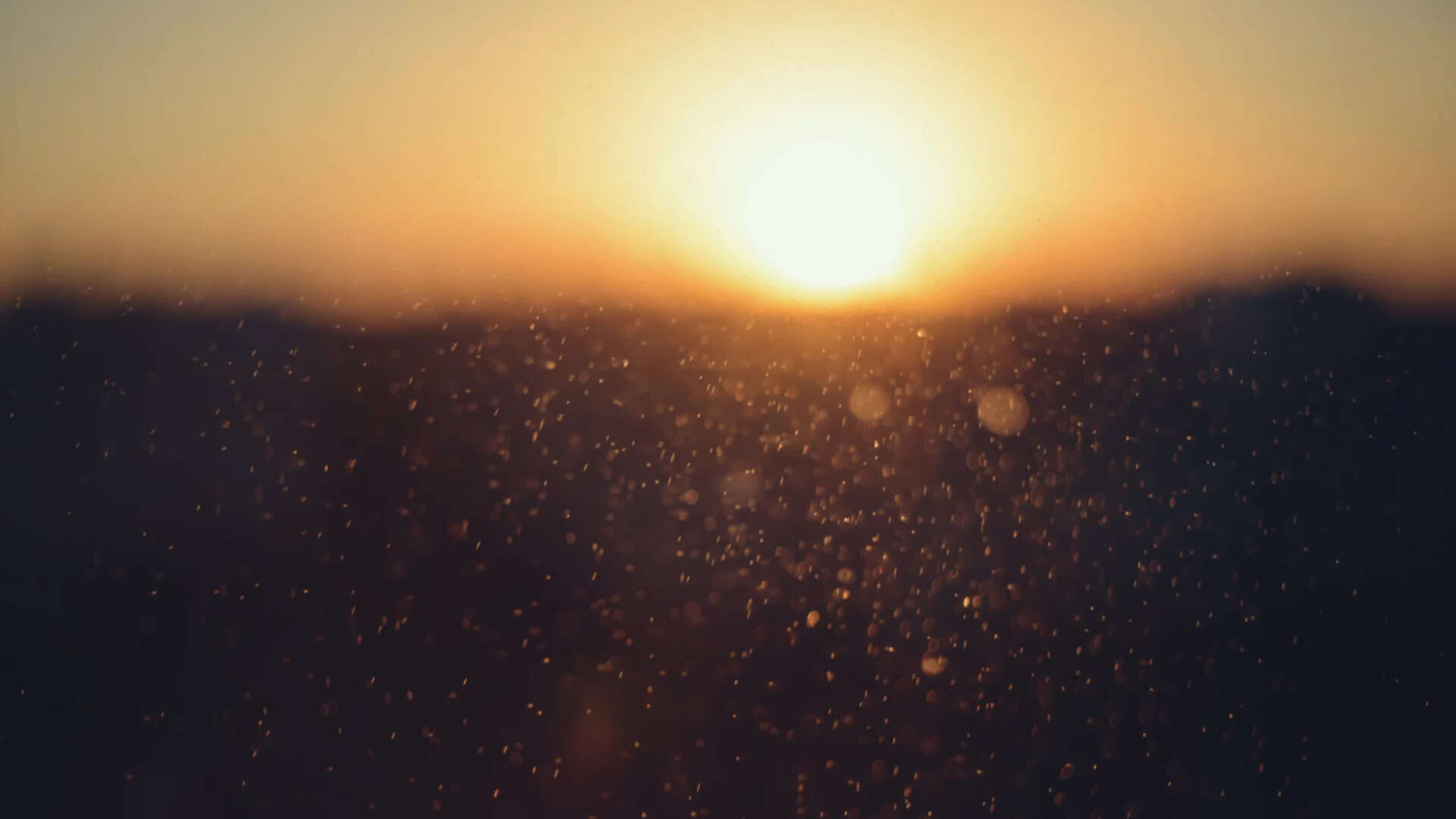 Best proverb of the day: 'Even the sun negotiates with dust to make a shadow'