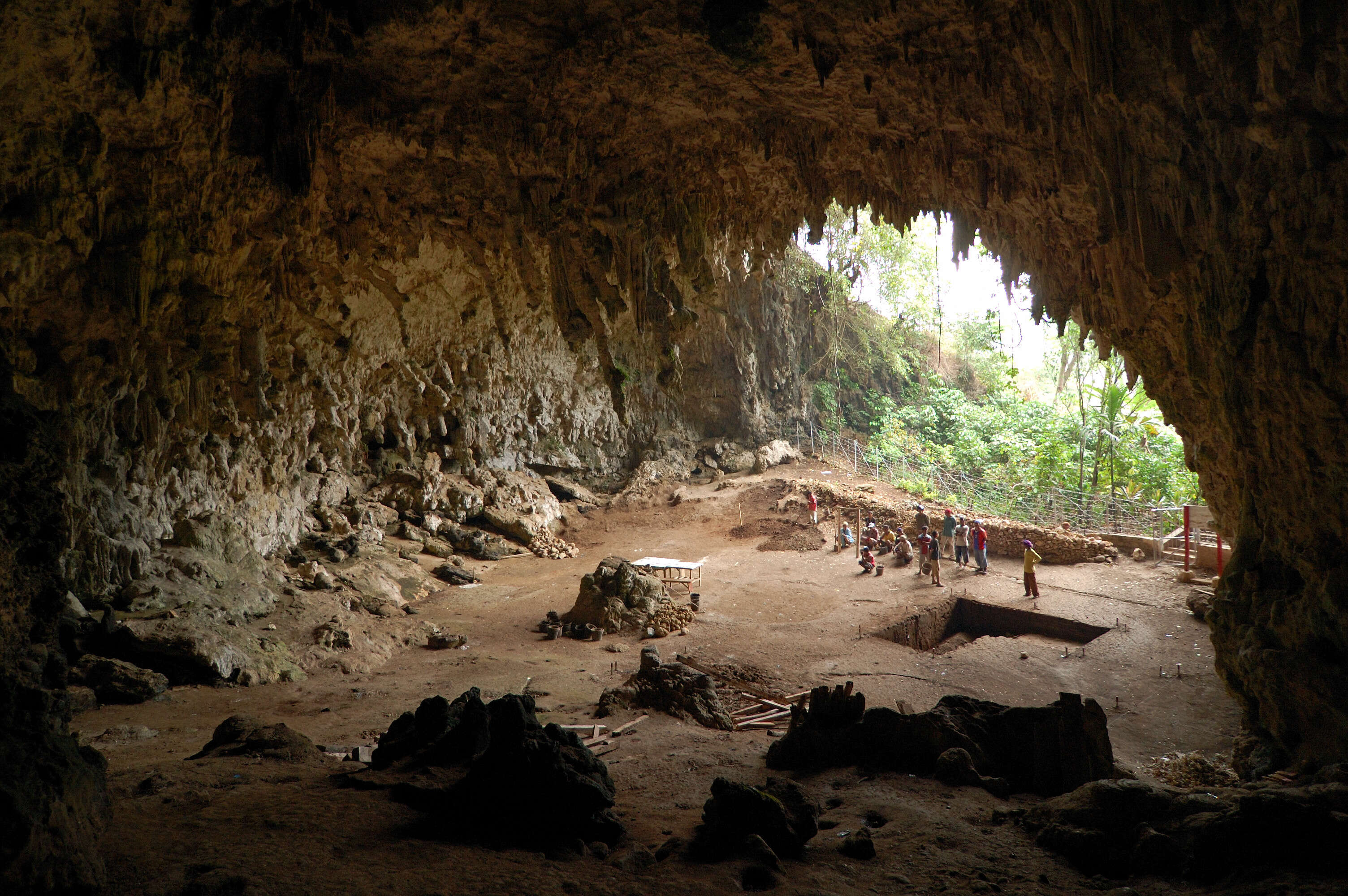 Wikipedia Homo_floresiensis_cave
