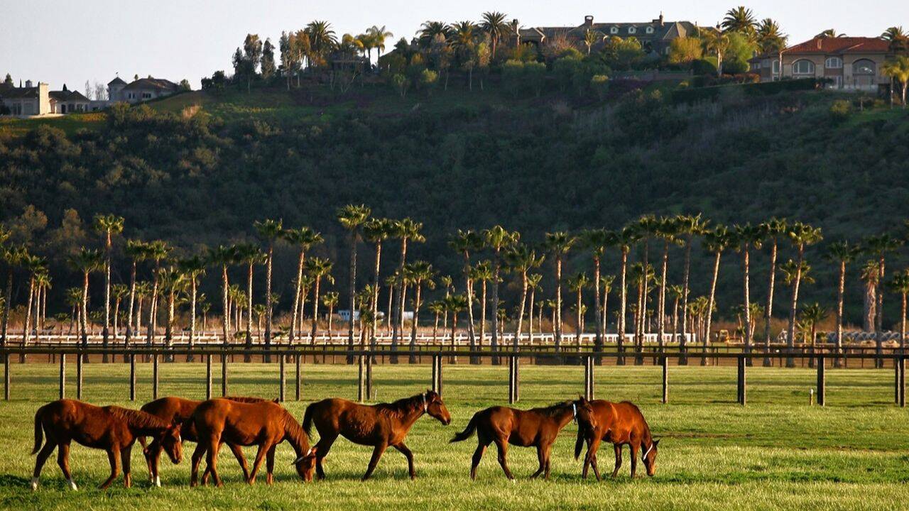 Rancho Paseana