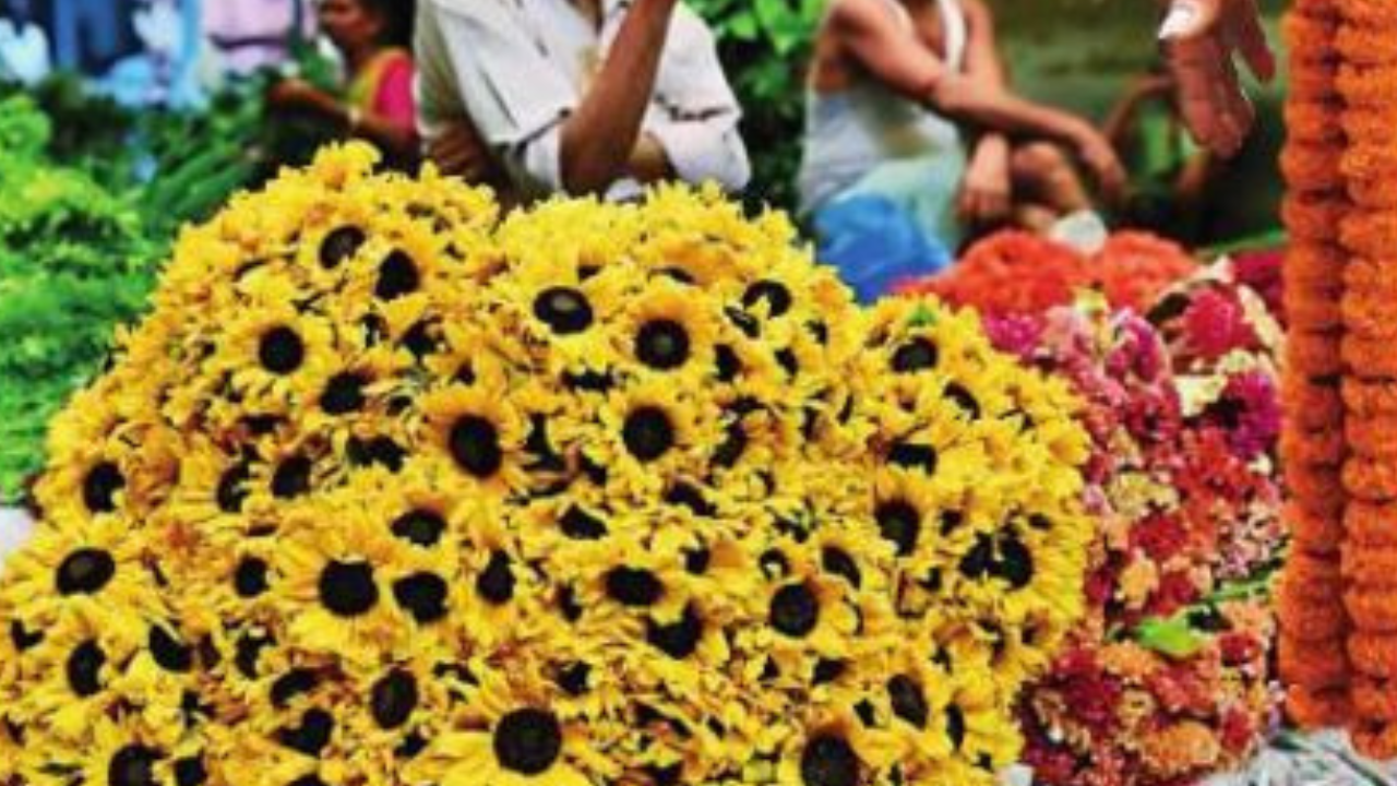 Seed sellers of flowers that bloom in shape of birds &amp; more are 'troubling' eBay &amp; Etsy