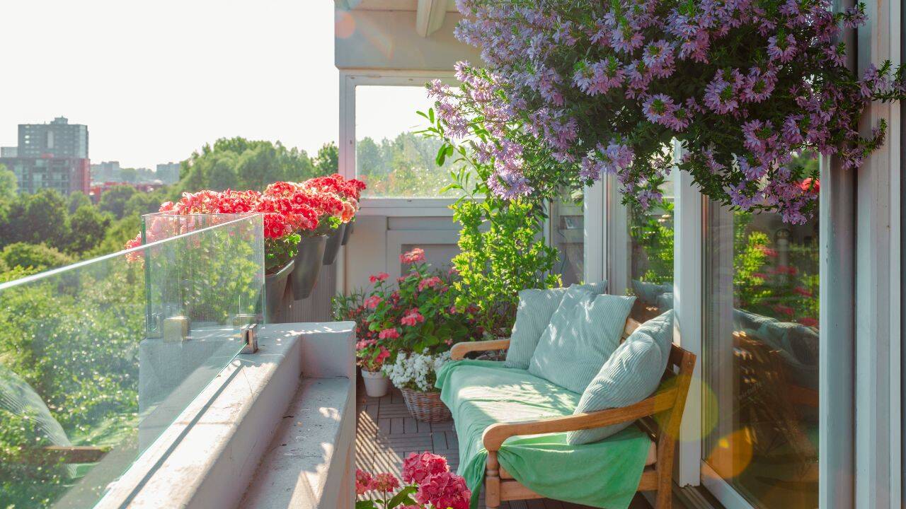 Lavender proves that you don’t have to have a sprawling country garden to enjoy one of the world’s most iconic flowering herbs