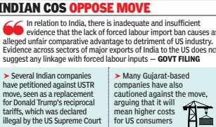 Indian companies oppose move