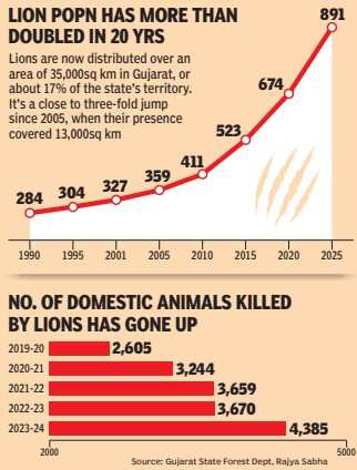 Lion population has more than doubled in 20 years