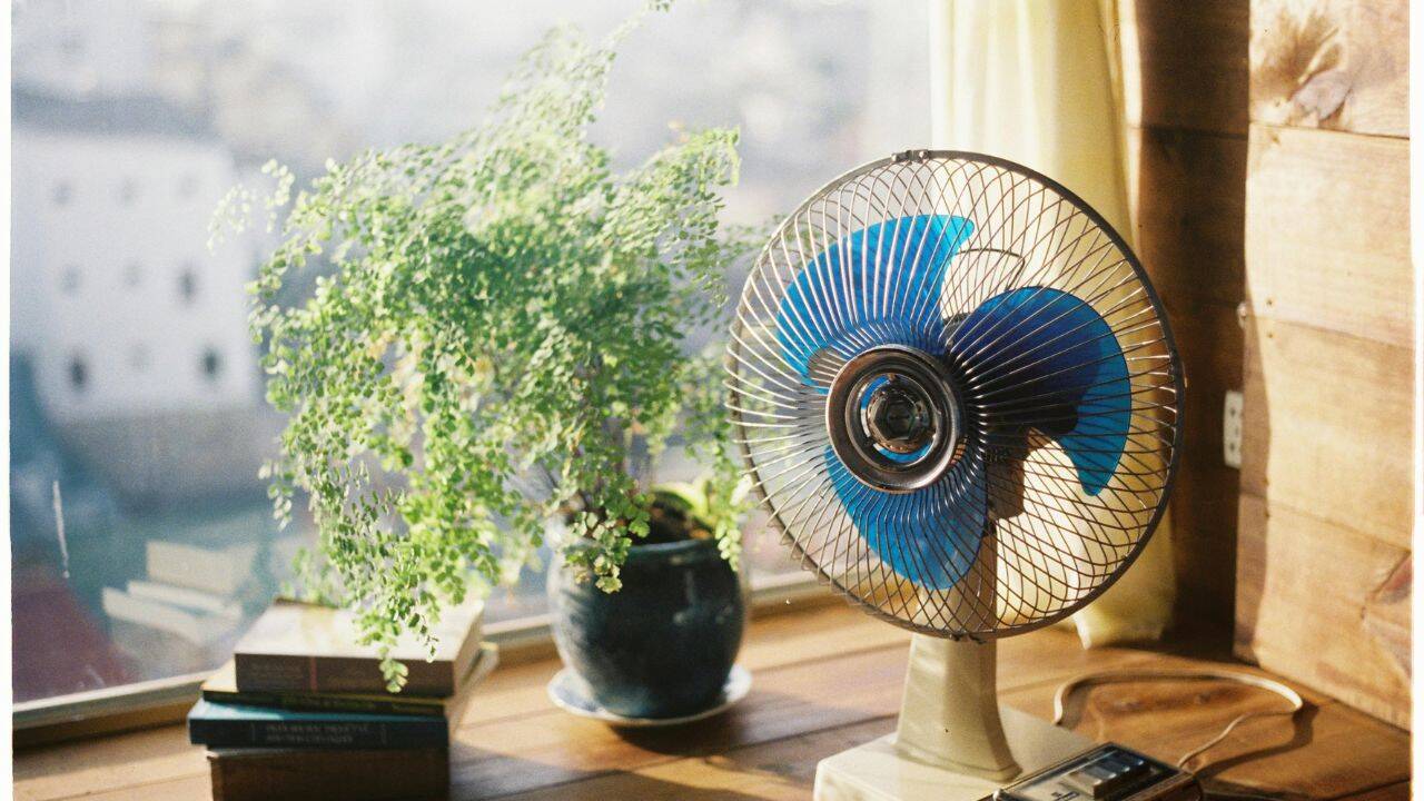 A simple way to keep flies away