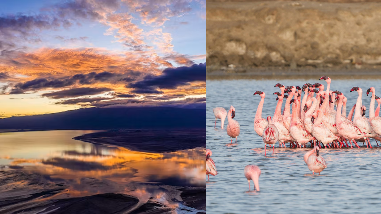 Tanzania's Lake Natron is one of the world's deadliest lakes, yet a paradise for flamingos