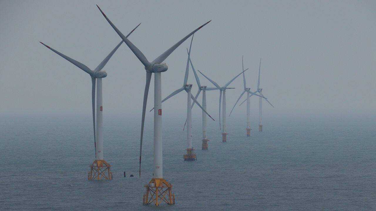 Engineers find new use for offshore wind farms, but may be driving away 'local' animals