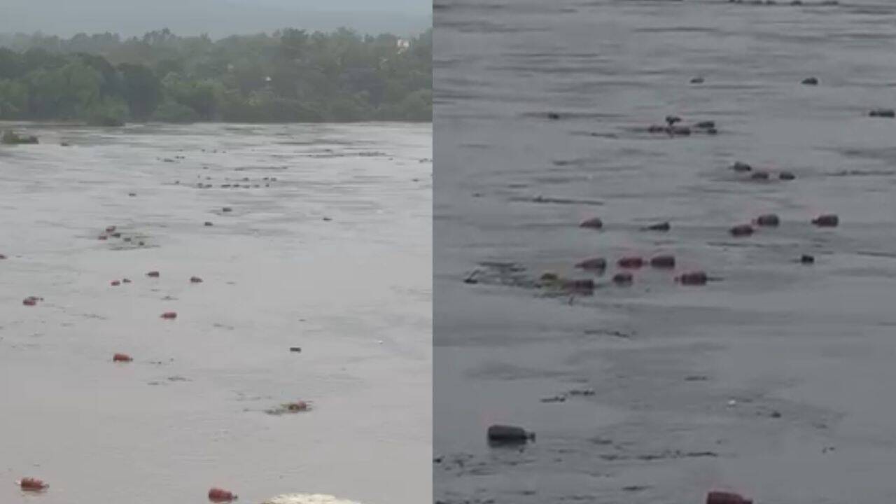 Watch: Heavy rain sends 3,000 LPG cylinders floating down river in Maharashtra's Raigad