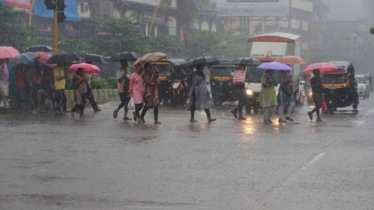 Three killed as monsoon incidents evacuate nearly 800 people in Thane