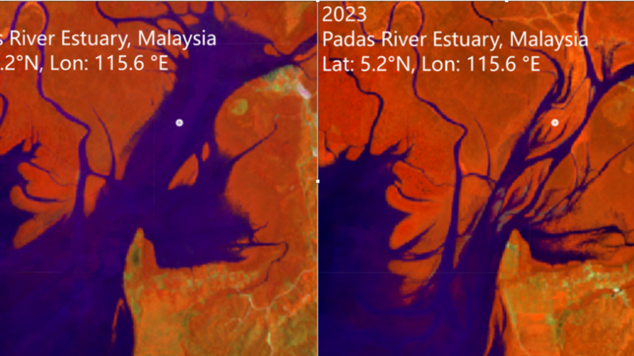 Nasa study reveals global mangrove recovery, but rising seas still pose a major threat on them