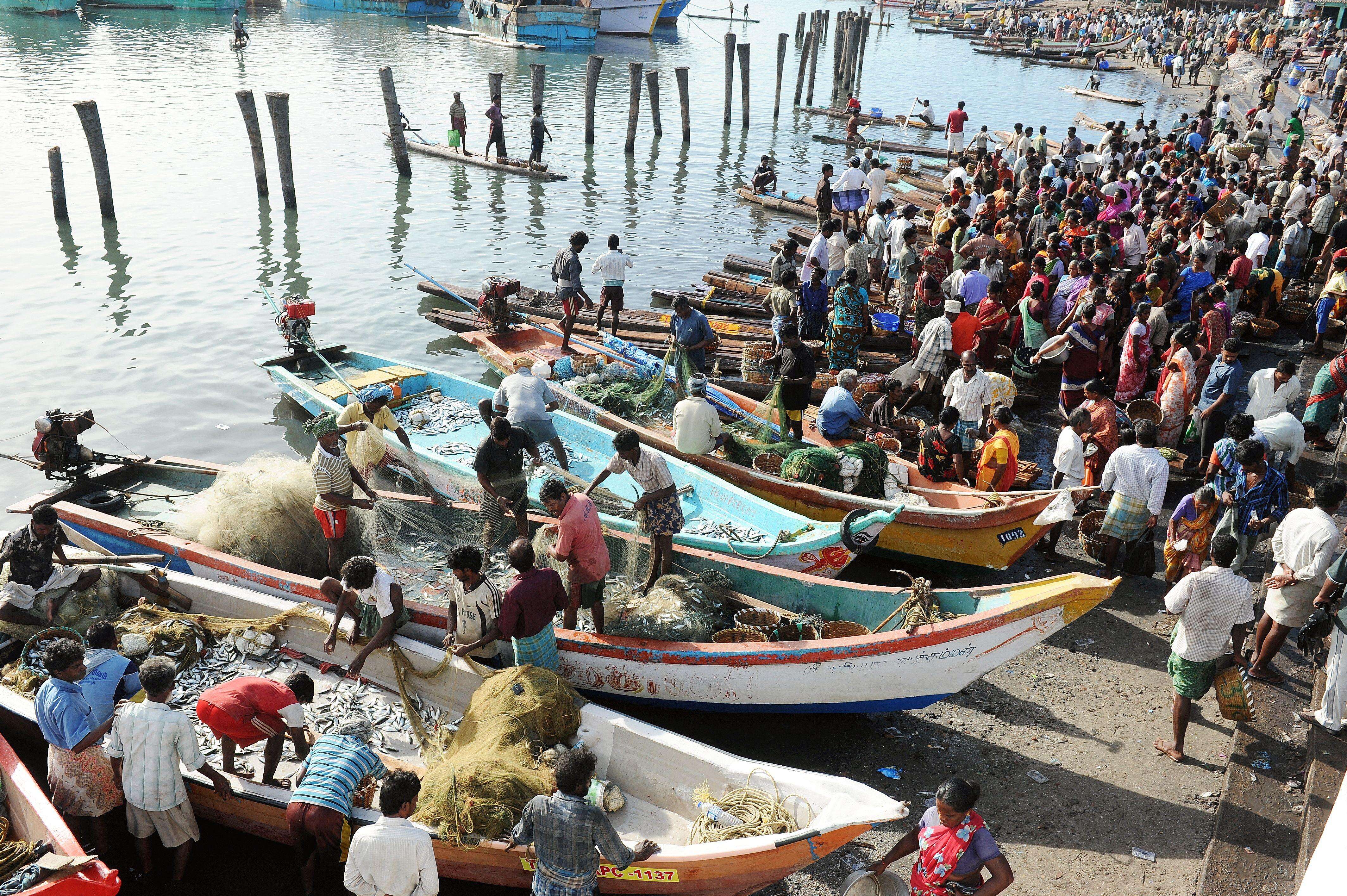 In Andhra Pradesh, around 2,500 mechanised fishing boats operated from parts of the state A3FA1AC4-6E62-4F48-9793-47861B8842C3.jpg