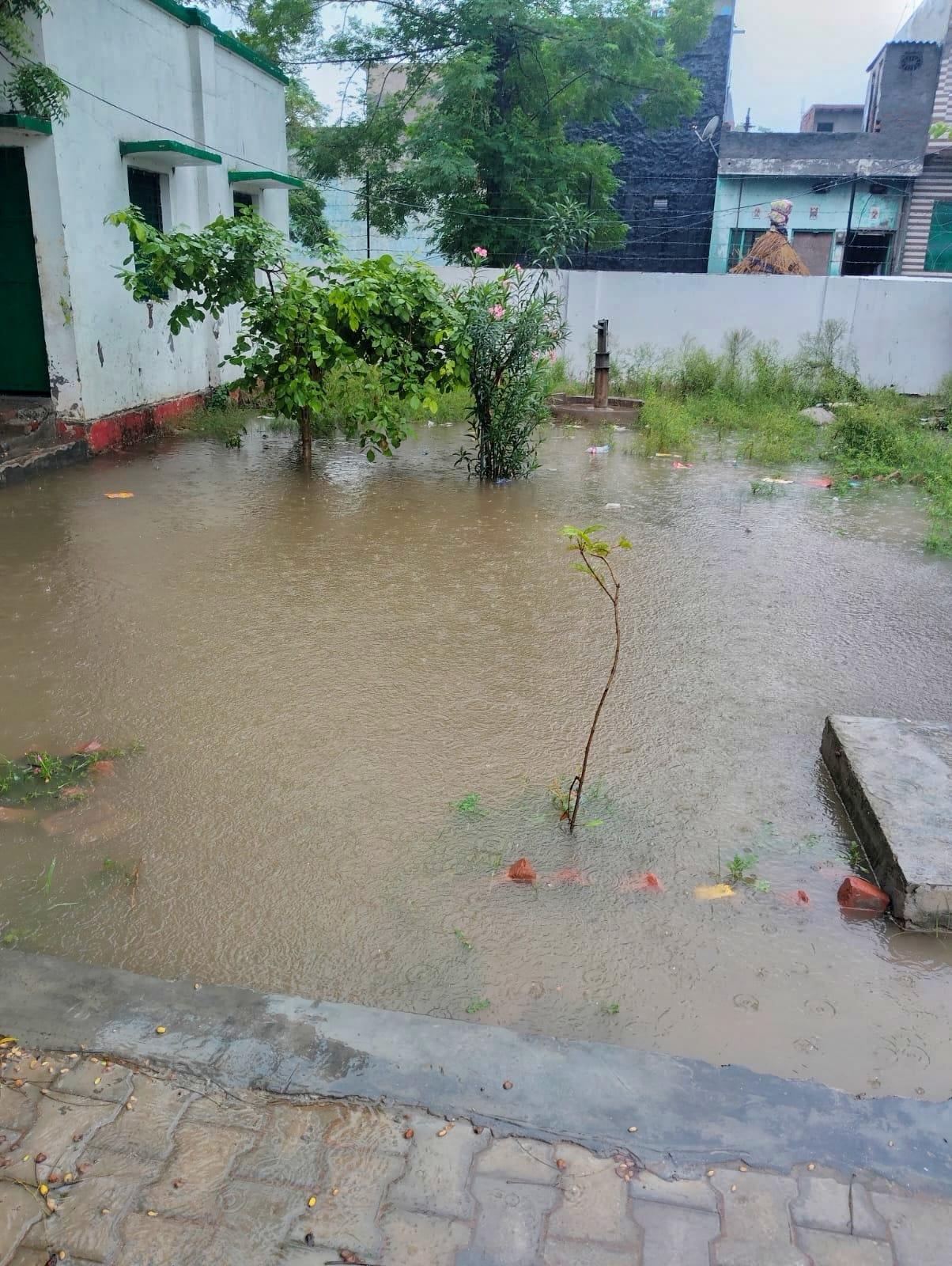 Prolonged waterlogging has resulted in thick vegetation growing in some campuses, increasing the risk of snakes entering the school WhatsApp Image 2026-07-09 at 17.47.23.jpeg