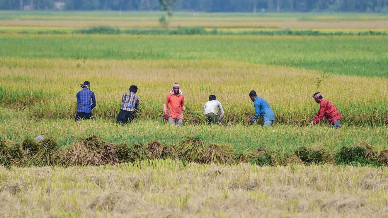 A weak monsoon could trigger a storm in India's economy