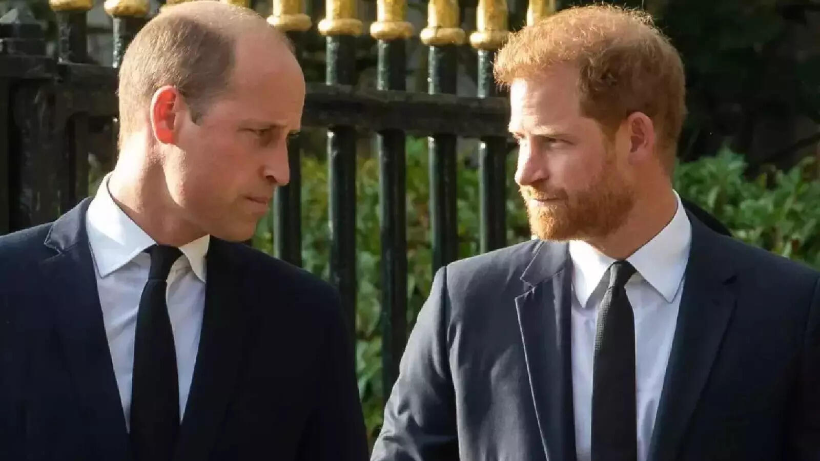 The 5 words Prince Harry just said about Prince William that changed ...