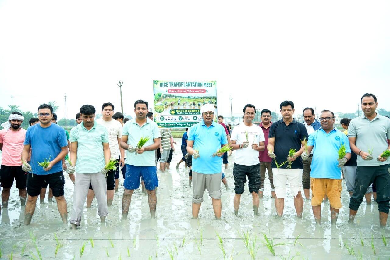 Rajendra Prasad Central Agricultural University vice-chancellor P S Pandey sows paddy b3ba693b-b6e8-42ea-a48c-d1dae7a1316b_RPCAU_VC_and_faculty_memebrs_engaged_in_paddy_transplantation_on_agricultural_farm_at_Pusa_on_Saturday_.JPG