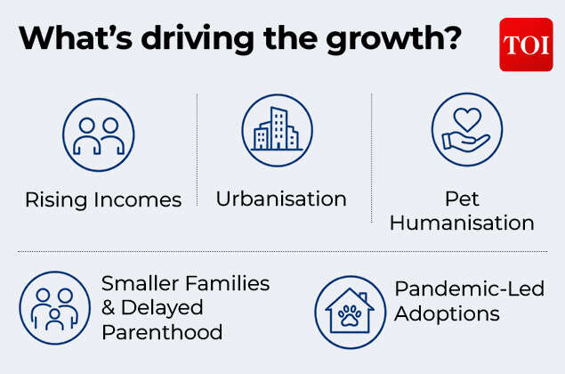 What's driving the growth