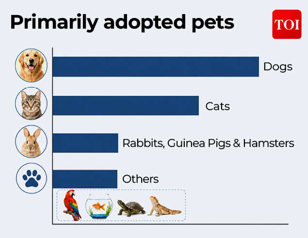 Dogs and cats top the list