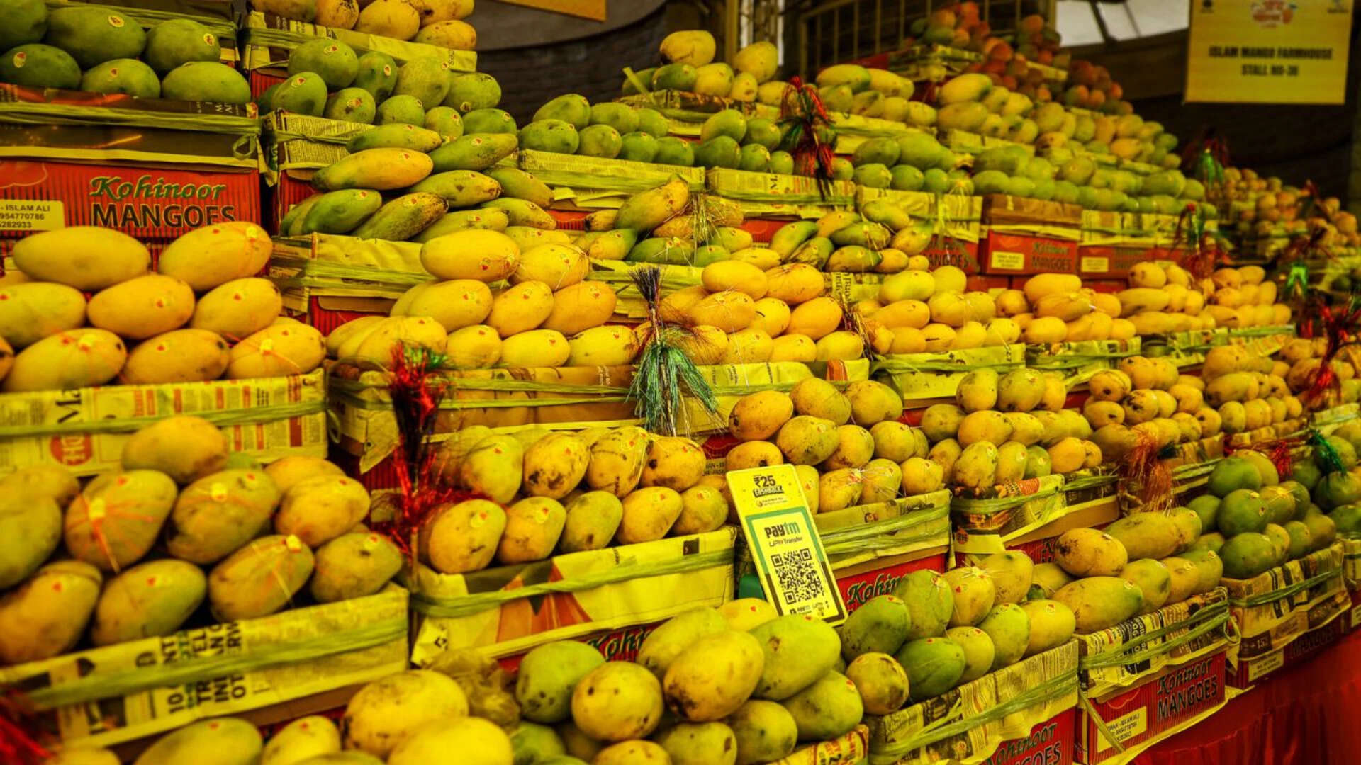 The mango mandi was a major attraction, bringing mangoes from Malihabad, Muzaffarnagar, Roorkee, Haridwar, Gujarat and Maharashtra under one roof