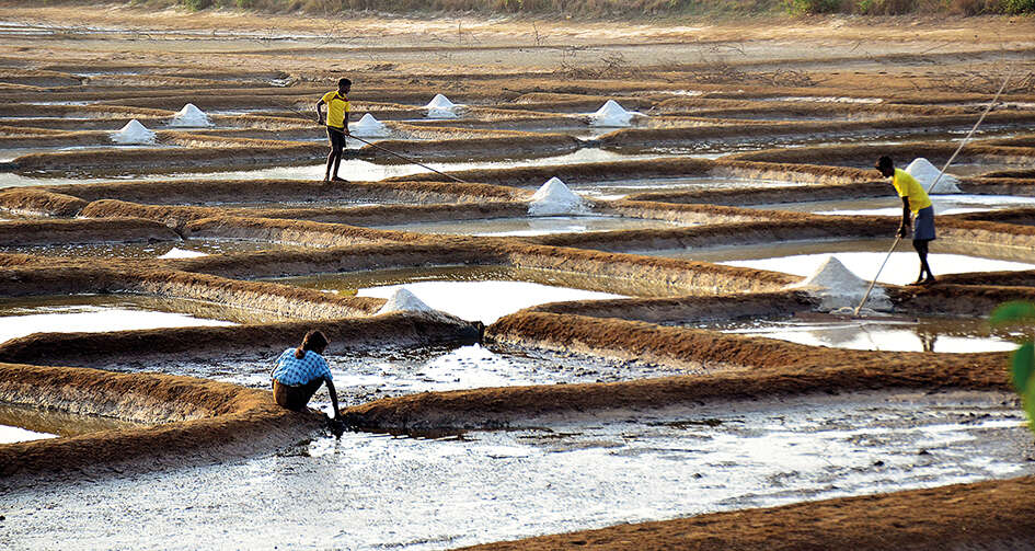 Salt extraction at Merces