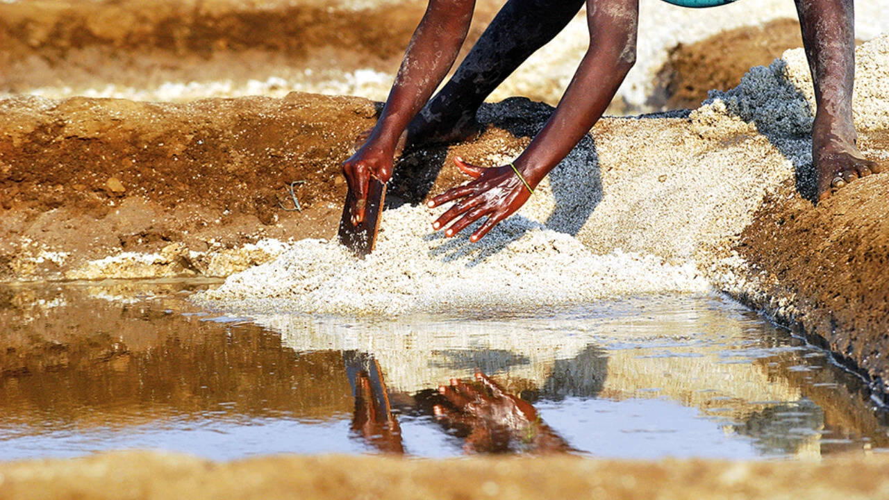 White gold to memory: How Goa's 1,500-year-old salt pans are vanishing
