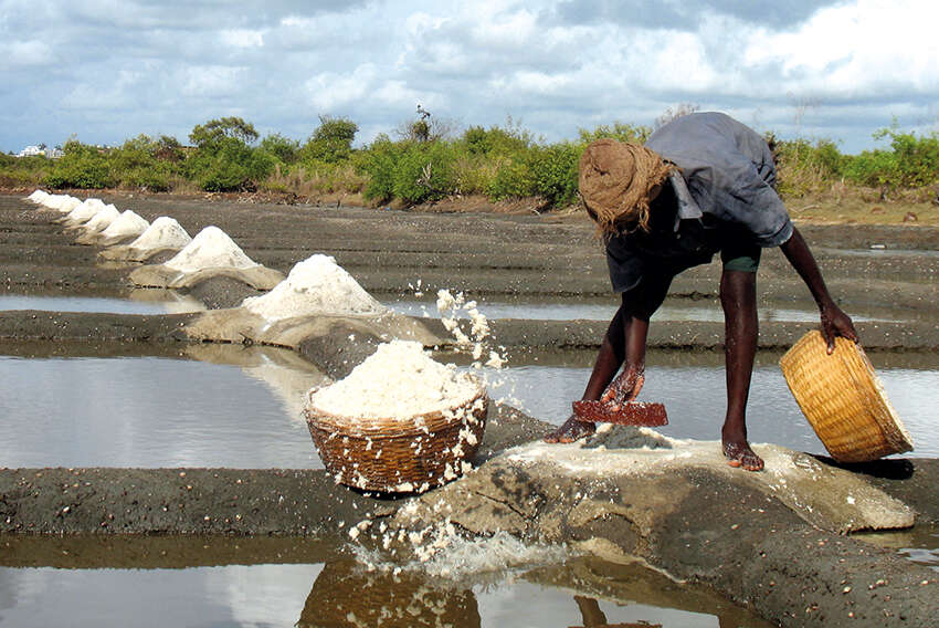 Salt work