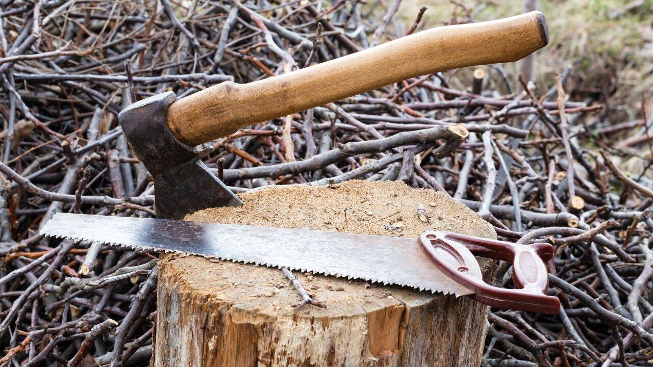 Canva Axe and saw