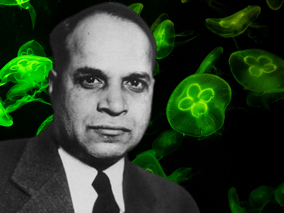 He lost his father and brothers to disease, failed school twice, reached Harvard and changed modern medicine forever — yet never won a Nobel Prize